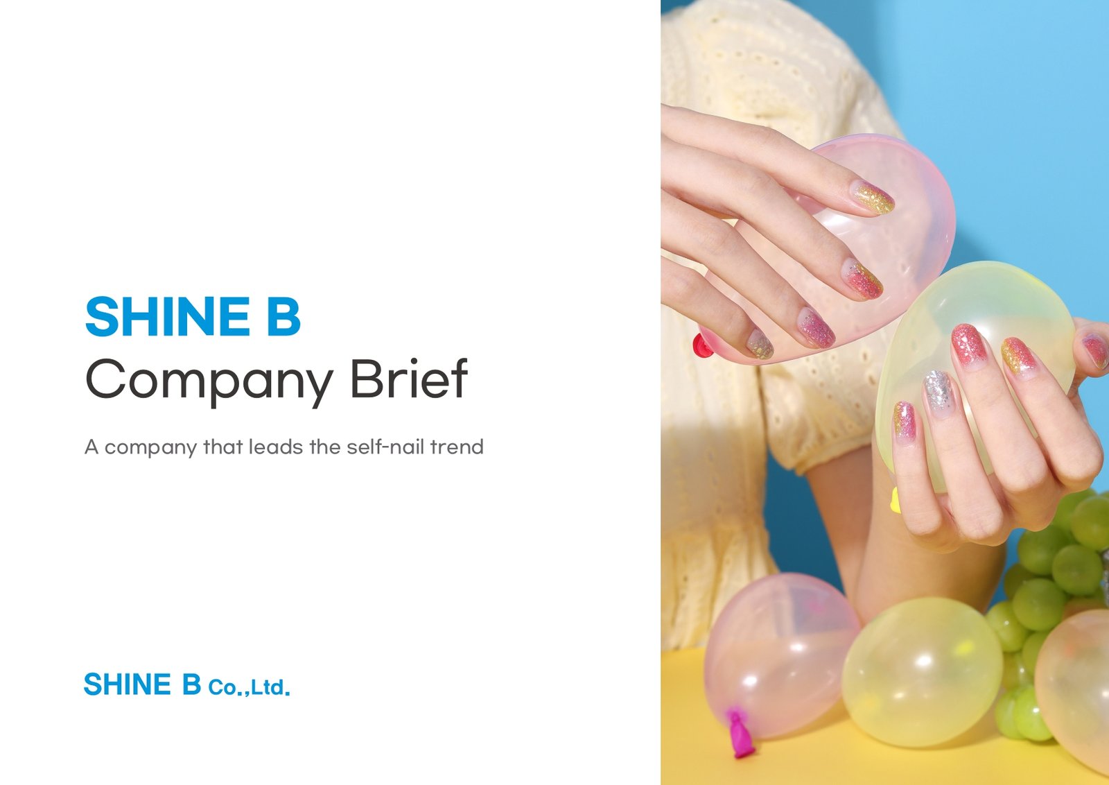 SHINE B_Introduciton_page-0001