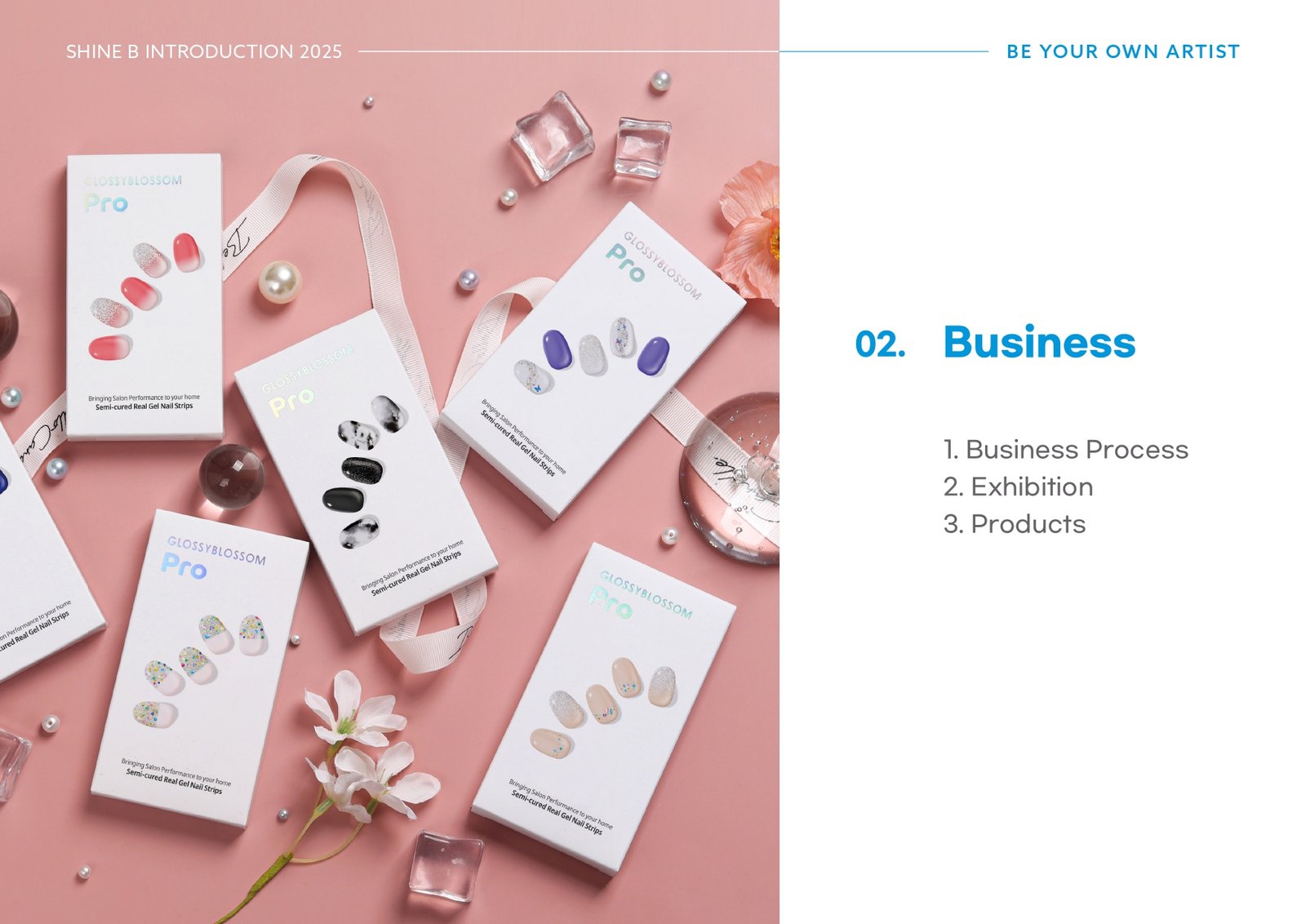 SHINE B_Introduciton_page-0010